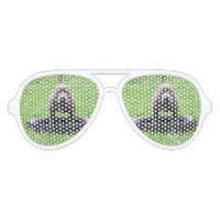 Staffordshire Bull Terrier Play Time,