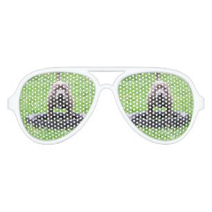 Staffordshire Bull Terrier Play Time, Aviator Sunglasses
