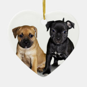 Staffordshire bull terrier puppies ornament