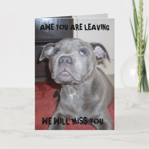 Staffordshire Bull Terrier Puppy, Bonvoyage Card