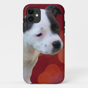 Staffordshire Bull Terrier Puppy, iPhone 11 Case