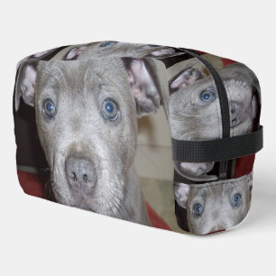 Staffordshire Bull Terrier Puppy Face, Dopp Kit