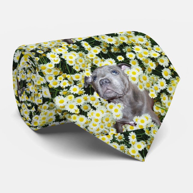Staffordshire Bull Terrier Puppy In Daisies, Tie (Rolled)