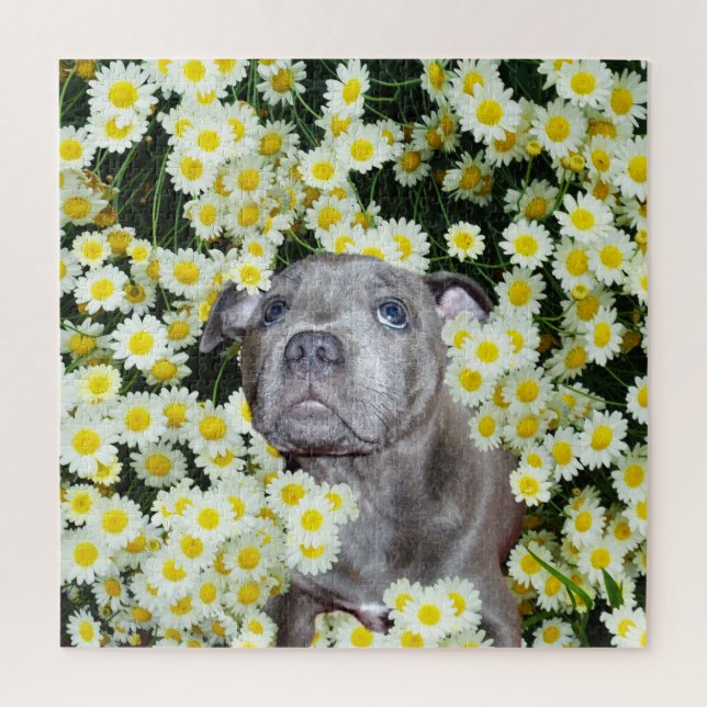 Staffordshire Bull Terrier Puppy In The Daisies, Jigsaw Puzzle (Vertical)