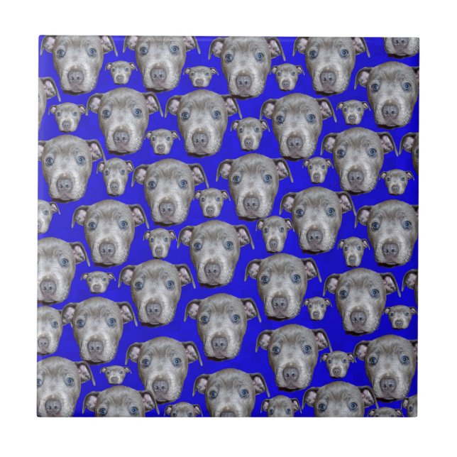 Staffordshire Bull Terrier Puppy Pattern, Ceramic Tile (Front)