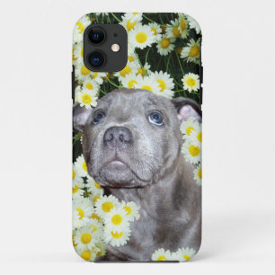 Staffordshire Bull Terrier Puppy With Soppy Eyes, iPhone 11 Case