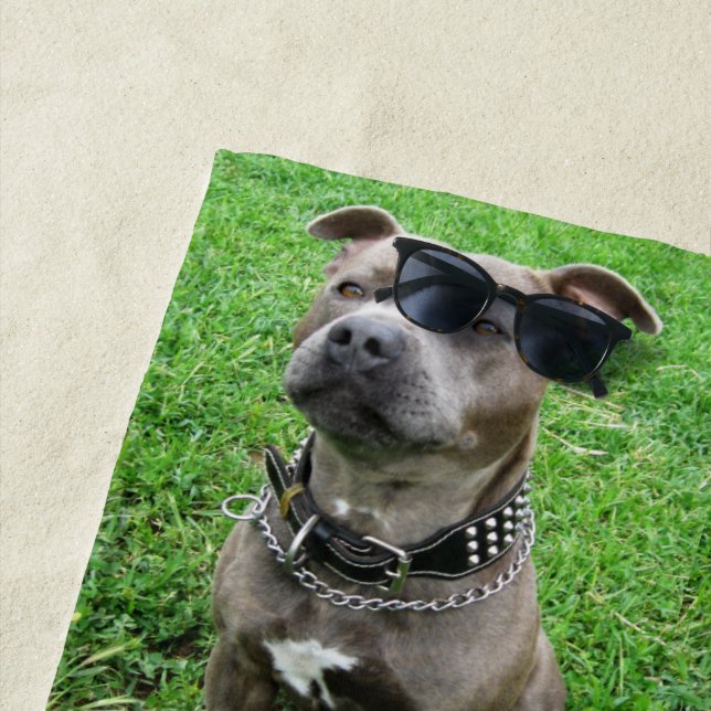 Staffordshire Bull Terrier Sitting At Attention,  Beach Towel (In Situ)
