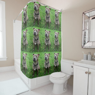 Staffordshire Bull Terrier Sitting At Attention, Shower Curtain