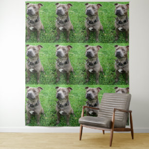 Staffordshire Bull Terrier Sitting At Attention, Tapestry