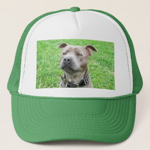 Staffordshire Bull Terrier Sitting, Trucker Hat