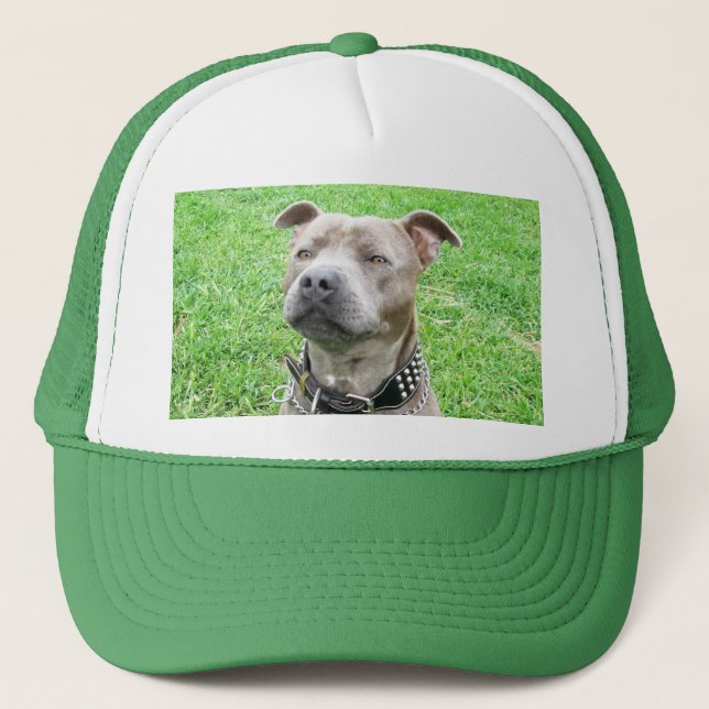 Staffordshire Bull Terrier Sitting, Trucker Hat (Front)