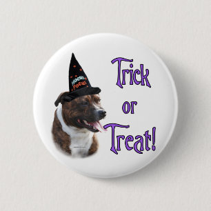 Staffordshire Bull Terrier Trick 6 Cm Round Badge