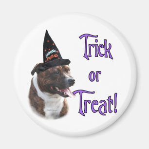 Staffordshire Bull Terrier Trick Magnet