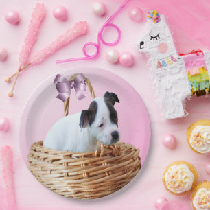 Staffordshire Puppy In A Basket, Paper Plate