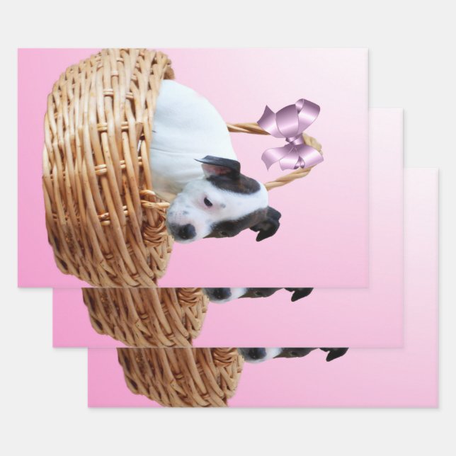 Staffordshire Puppy In A Basket,   Wrapping Paper Sheet (Set)