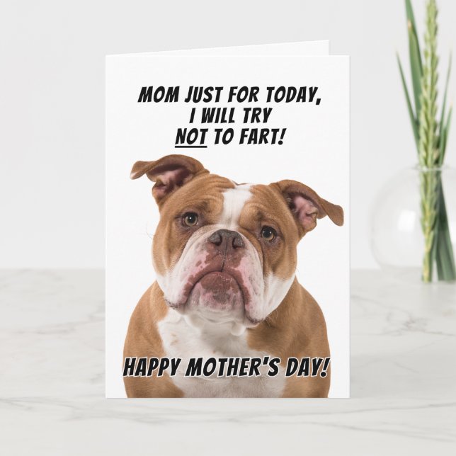 Staffordshire Terrier Greeting card Mother's day (Front)