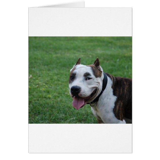 staffy 4.png (Front)