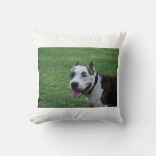 staffy 4.png cushion