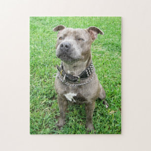 Staffy At Attention, Jigsaw Puzzle