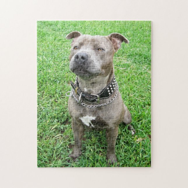 Staffy At Attention, Jigsaw Puzzle (Vertical)