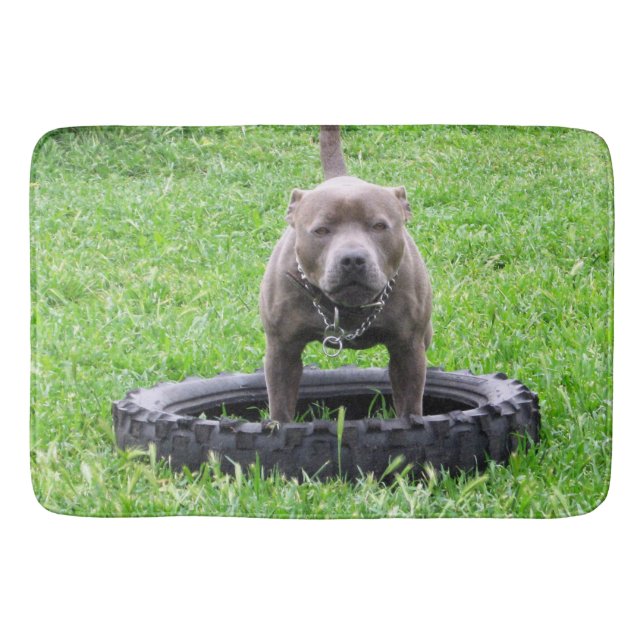 Staffy Bull Terrier Time To Play, Bath Mat (Front)