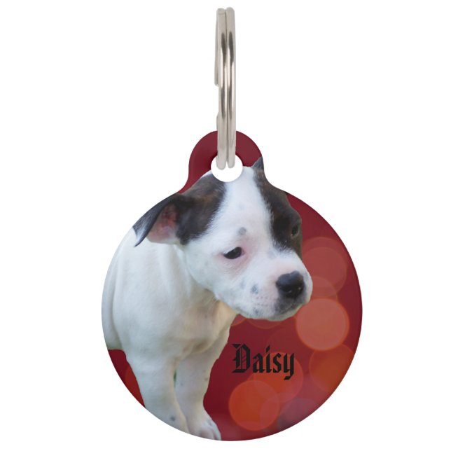 Staffy Daisy Name Logo, Pet Tag (Front)