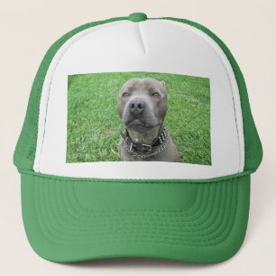 Staffy Has The Drool Face On, Trucker Hat