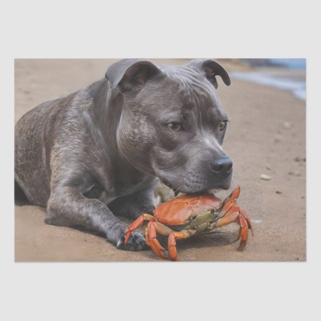 Staffy Is Friends With A Beach Crab, Tissue Paper (Front)