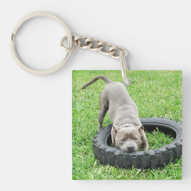 Staffy One Chomp Or Two, Key Ring (Front)