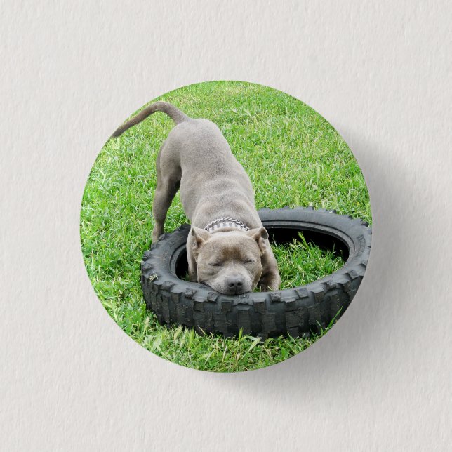 Staffy Play Time, Button Badge. (Front)
