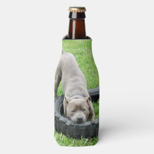 Staffy Playing With Tyre, Bottle Cooler