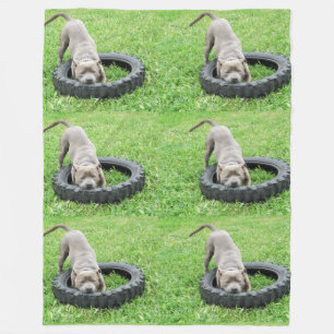 Staffy Playtime Large Fleece Blanket. Blanket