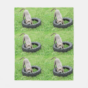 Staffy Playtime Medium Fleece Blanket. Blanket