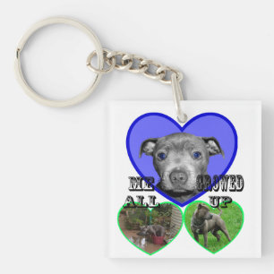 Staffy Puppy All Growed Up, Key Ring