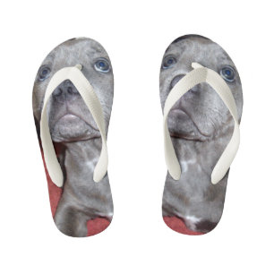 Staffy Puppy Sooky Eyes, Kid's Thongs