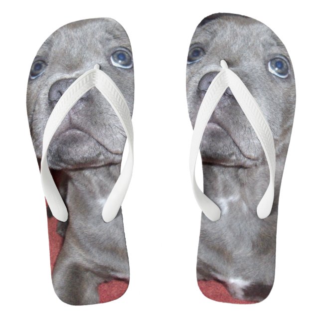 Staffy Puppy Sooky Eyes, Thongs (Footbed)