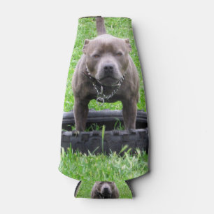Staffy Ready To Play, Bottle Cooler