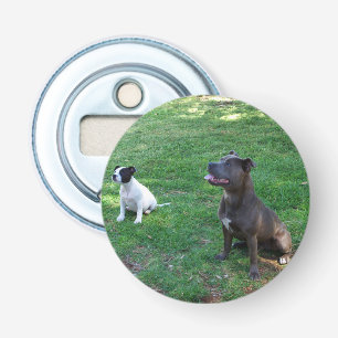 Staffys Waiting For Treats, Magnetic Bottle Opener