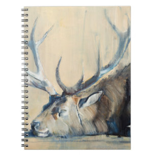 Stag 2014 notebook