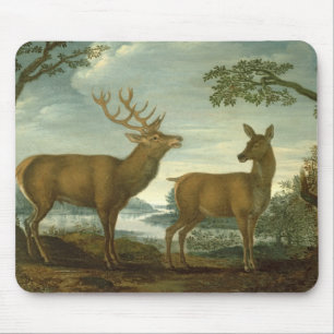 Stag and hind in a wooded landscape mouse pad