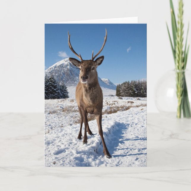 Stag and Mountains Holiday Card (Front)
