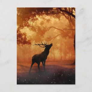 Stag at Sunset Postcard
