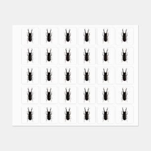 Stag Beetle