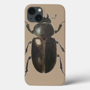 Stag Beetle 2011 iPhone 13 Case