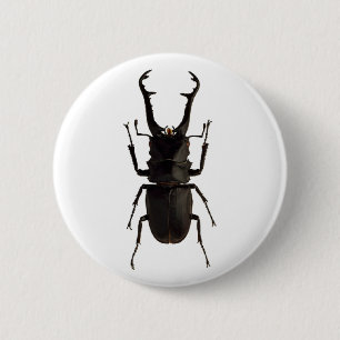 Stag Beetle 6 Cm Round Badge