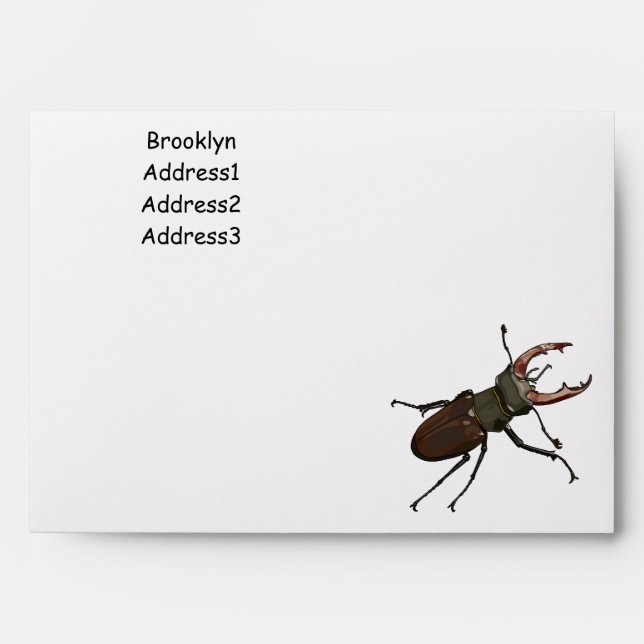 Stag beetle cartoon illustration envelope (Front)
