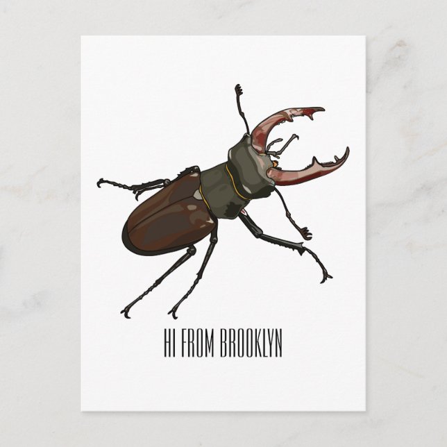 Stag beetle cartoon illustration postcard (Front)