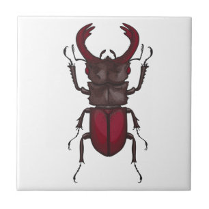 Stag beetle ceramic tile