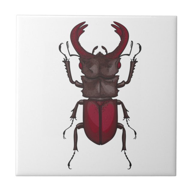 Stag beetle ceramic tile (Front)