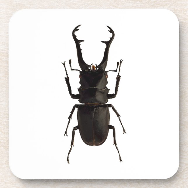Stag Beetle Coaster (Front)